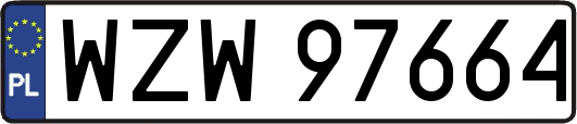 WZW97664