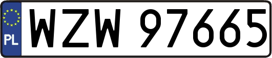 WZW97665