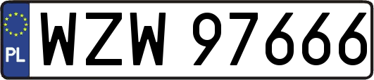 WZW97666
