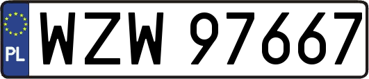 WZW97667