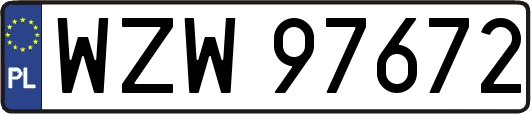 WZW97672