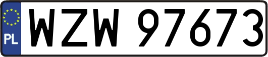 WZW97673
