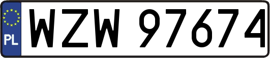 WZW97674