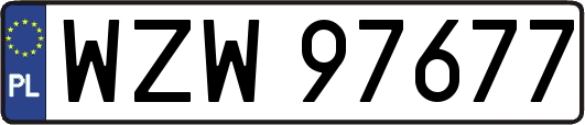 WZW97677
