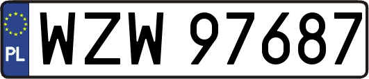 WZW97687