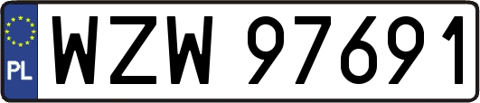 WZW97691