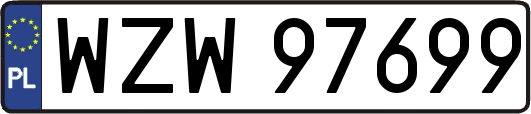 WZW97699