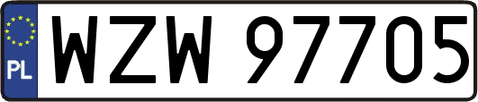 WZW97705