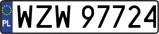 WZW97724