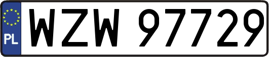 WZW97729