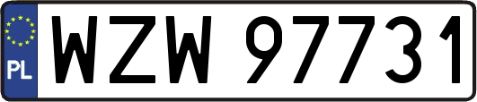 WZW97731