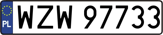 WZW97733