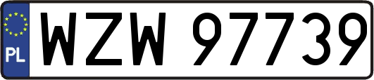 WZW97739