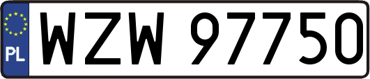 WZW97750