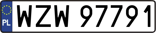 WZW97791