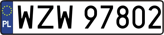 WZW97802