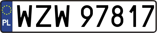 WZW97817