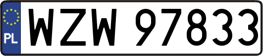 WZW97833
