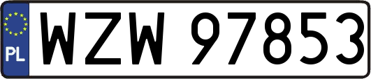 WZW97853