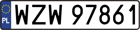 WZW97861