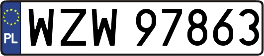 WZW97863