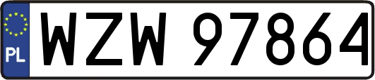 WZW97864