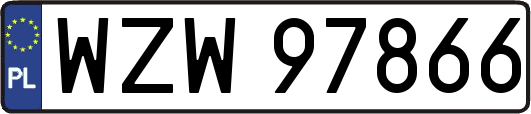 WZW97866
