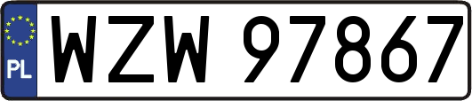 WZW97867