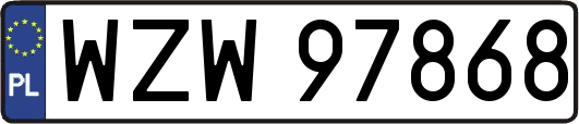 WZW97868