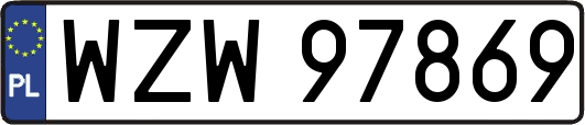WZW97869