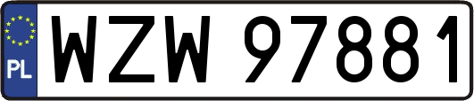 WZW97881