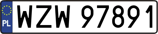 WZW97891