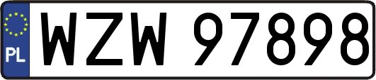 WZW97898