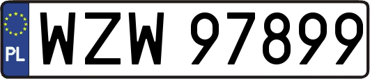 WZW97899