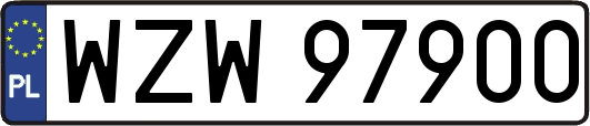 WZW97900