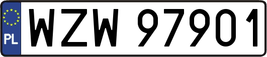 WZW97901