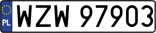 WZW97903