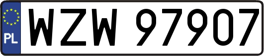 WZW97907