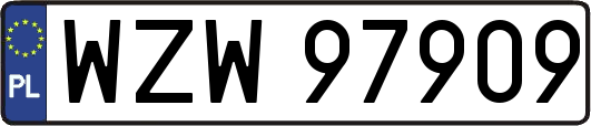 WZW97909
