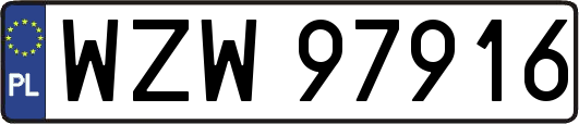 WZW97916