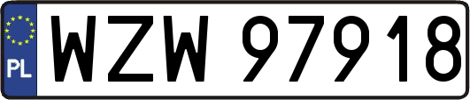 WZW97918