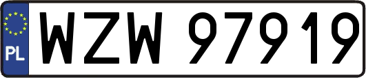 WZW97919