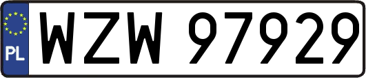 WZW97929