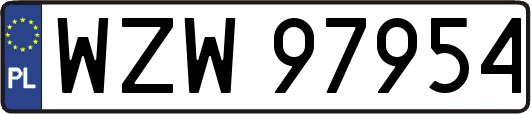 WZW97954