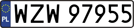 WZW97955