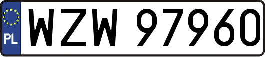 WZW97960