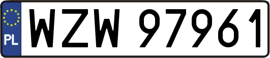 WZW97961