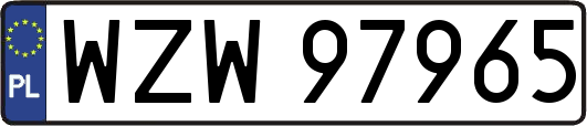 WZW97965