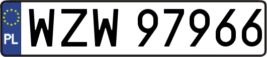 WZW97966