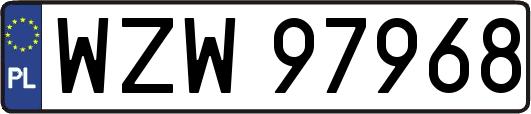 WZW97968